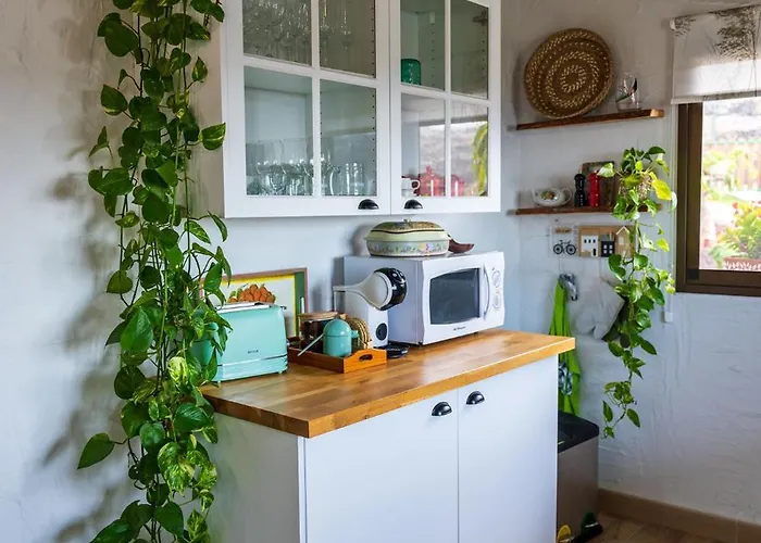 Venus Alcala (Tenerife)