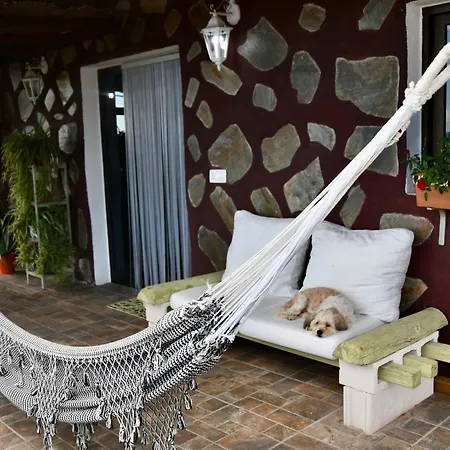 Venus Holiday home Alcala (Tenerife)